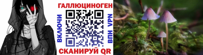 Псилоцибиновые грибы Cubensis  mega как войти  Каргат 
